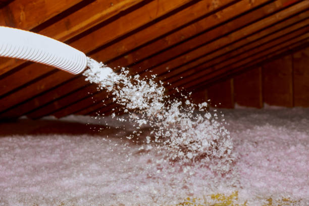 Best Commercial Insulation in Cleves, OH