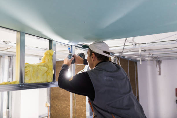Best Fiberglass Insulation in Cleves, OH