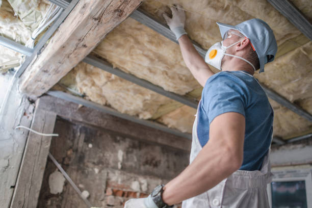 Best DIY Insulation Kits and Guidance in Cleves, OH
