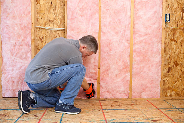 Best Blown-in Insulation in Cleves, OH