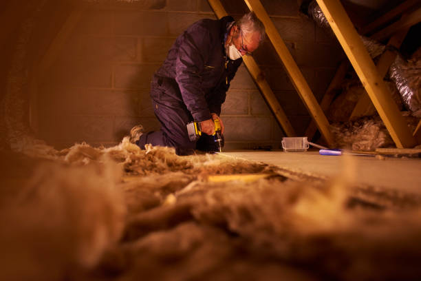 Best Cellulose Insulation in Cleves, OH