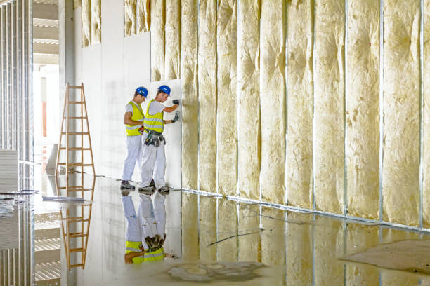 Best Geographic-Specific Insulation Services in Cleves, OH